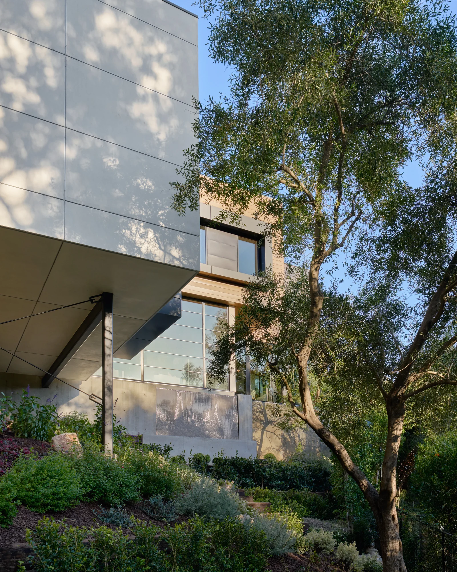 Modern home exterior with panel cladding cantilevered over lush hillside garden, framed by mature olive trees.