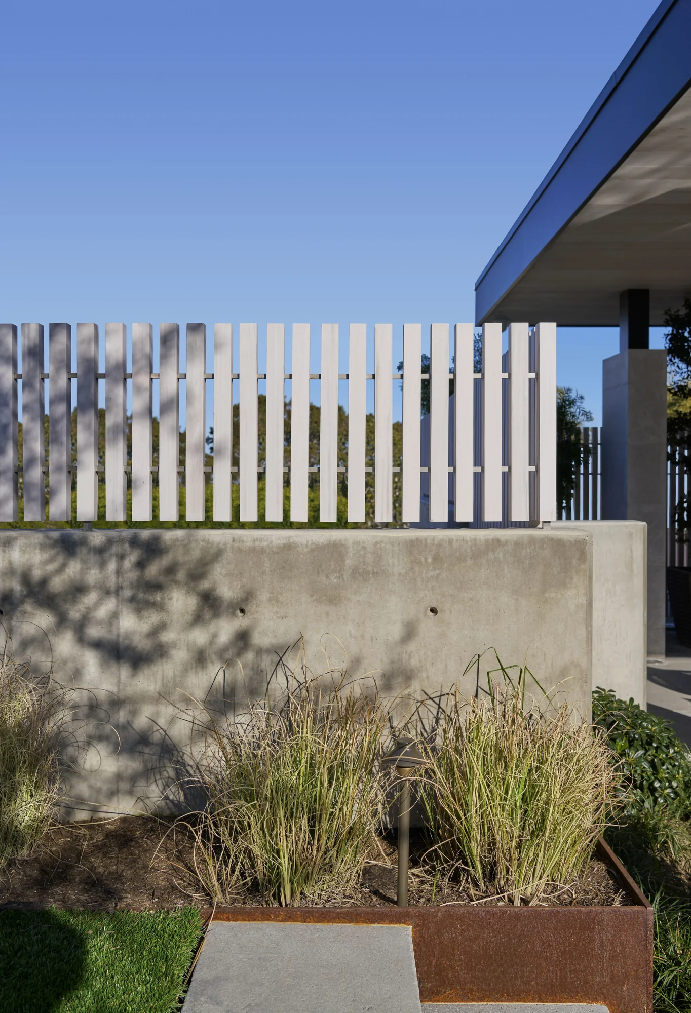 Modern concrete wall with white vertical slat fence and native grasses in corten steel planter box